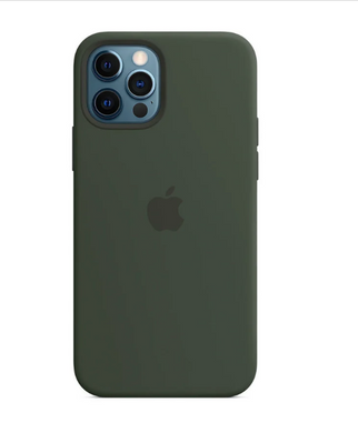 Silicone Case iPhone 12 Pro Max Cypress Green (MHLC3)